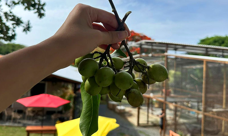 Hacienda del cielo roatan
