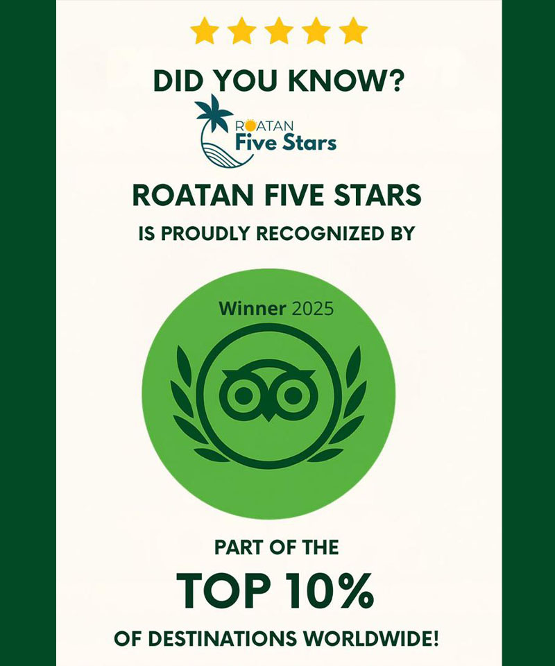 Tripadvisor roatan tours