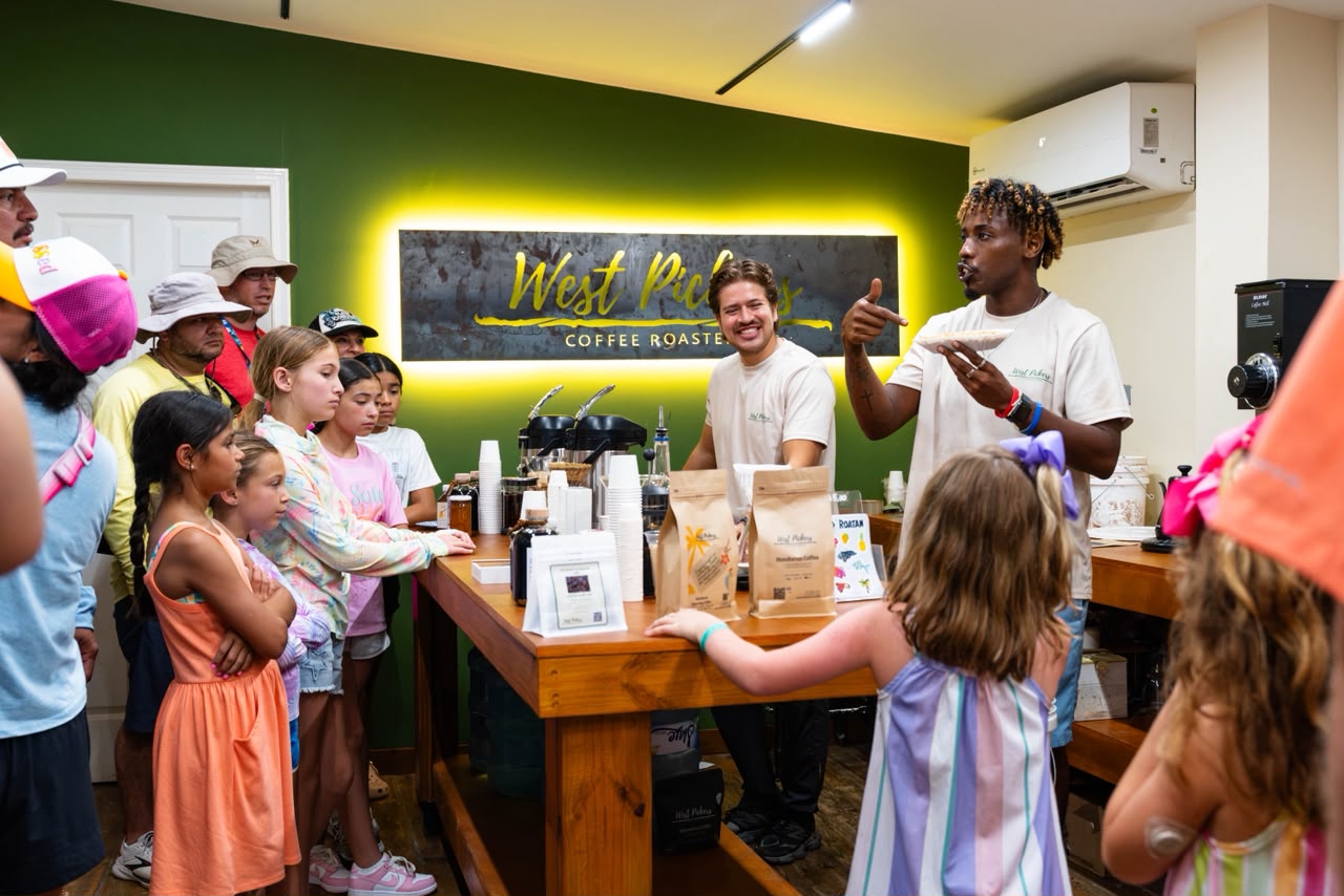 roatan coffee tour experience